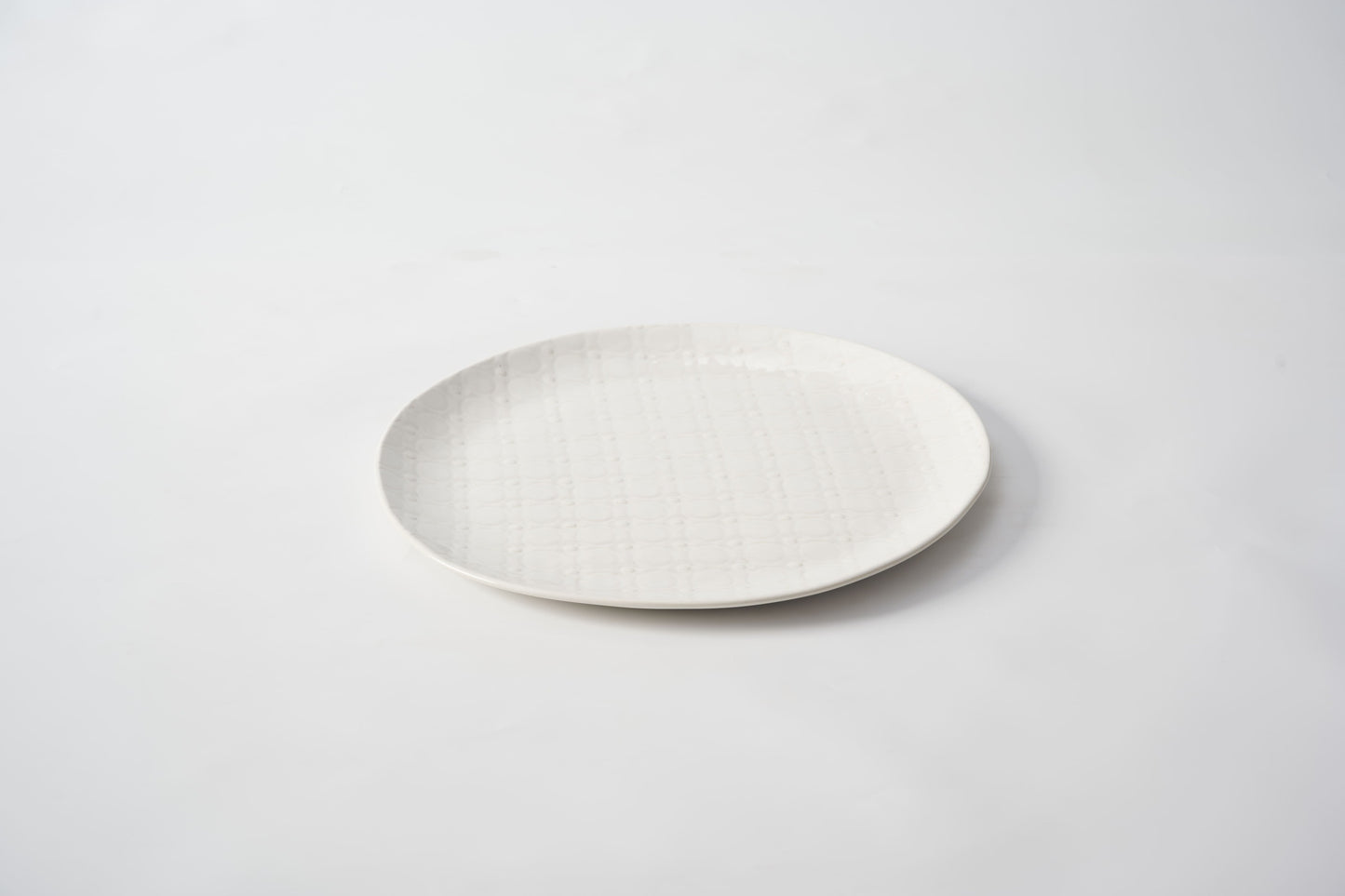 Large Dinner Plate